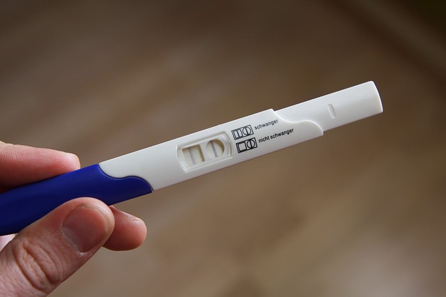 pregnant-2277768-640